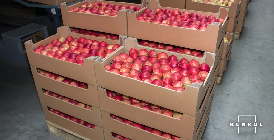 Картонні ящики для зберігання яблук